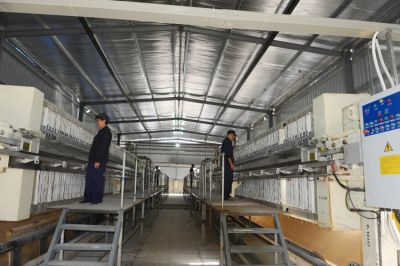 企業展示